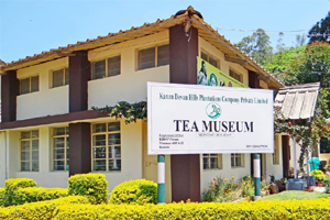  Tata Tea Museum